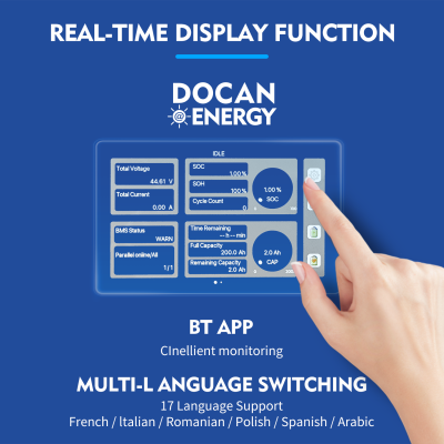 EU Stock Docan Panda 32KWH Lifepo4 Battery packs with 200A wifi BMS, touch Screen
